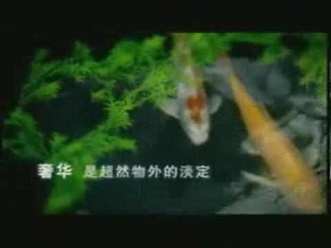 大眾汽車輝騰廣告